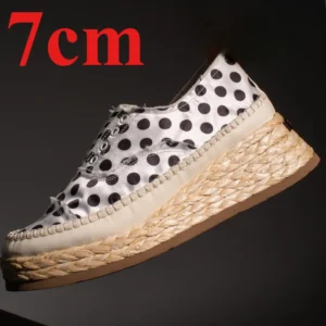 Korean Style Silk Fabric Women’s Heightening Shoes | UNITYPUREMAX™ 7cm Platform Casual Shoes 1