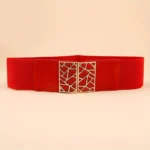 UNITYPUREMAX™ Women Elastic Wide Dress Belt with Metal Lace-Up Buckle 3