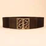 UNITYPUREMAX™ Women Elastic Wide Dress Belt with Metal Lace-Up Buckle 2